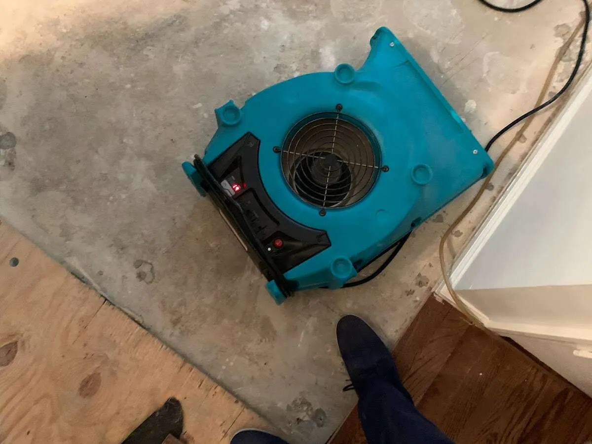 Air mover drying subfloor during Leak Detection & Repair in Newark